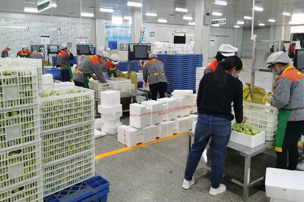 首页-KY开元游戏集团官网