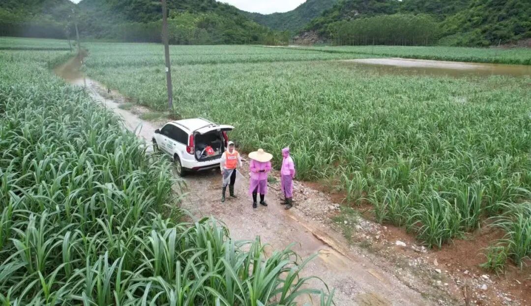 首页-KY开元游戏集团官网